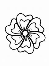 Large Flowers Coloring Pages  Nation sketch template