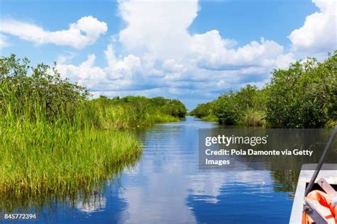 Everglades Climate Photos and Premium High Res Pictures - Getty Images