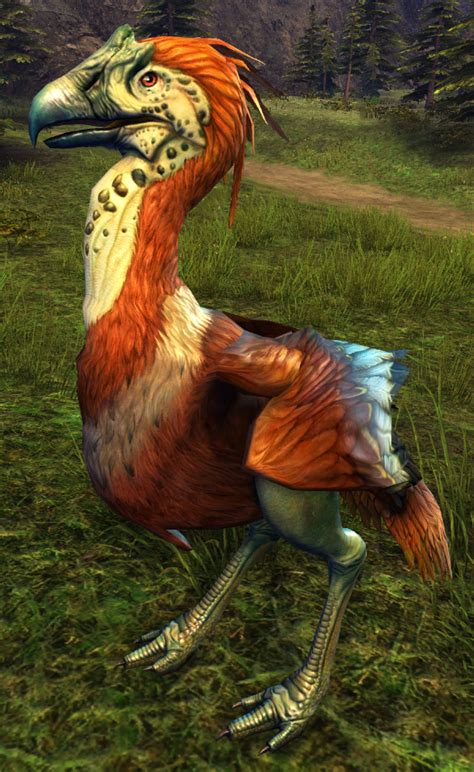 Juvenile Red Moa - Guild Wars 2 Wiki (GW2W)