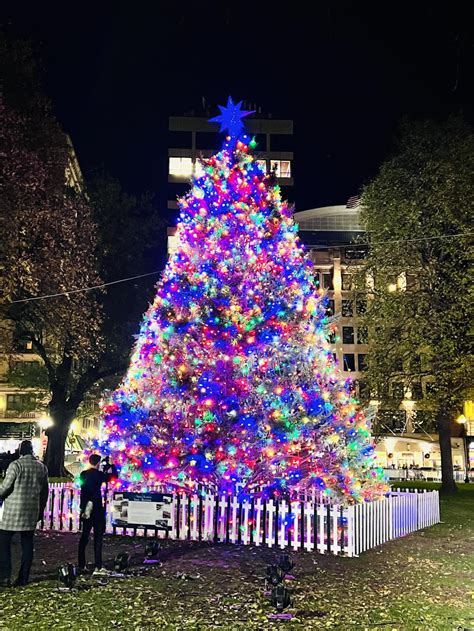 Boston Common lights Christmas Tree – The Suffolk Journal