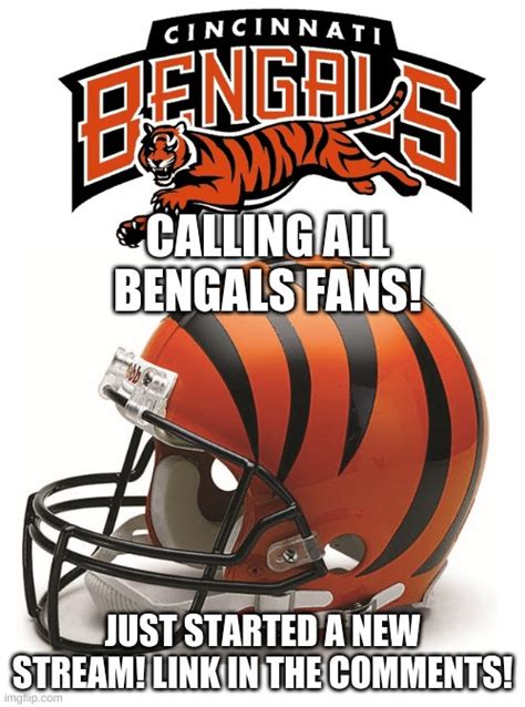 Bengals Memes - Imgflip