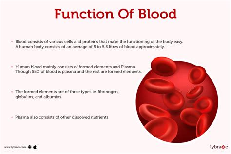 74 Blood Cells Structure And Functions Biology Notes