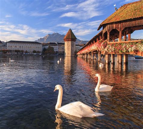 Lucerne, the Chapel Bridge stock image. Image of pier - 34660191