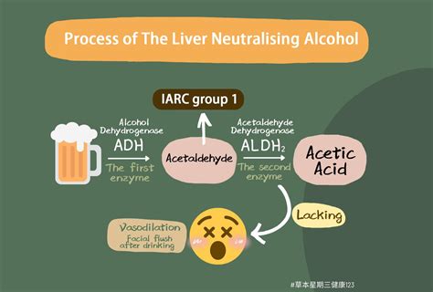 Is Alcohol Flush Reaction The Result of Good Liver Function?