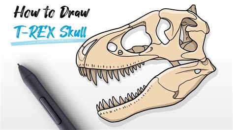 T Rex Skeleton Head Drawing