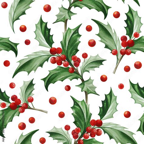 Seamless Pattern with Christmas Symbol - Holly Leaves on White ...