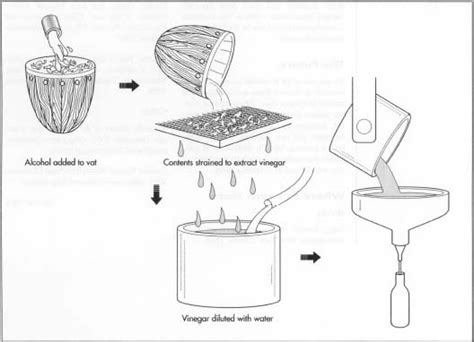 Acetic Acid In Vinegar | Lifestyle Arts