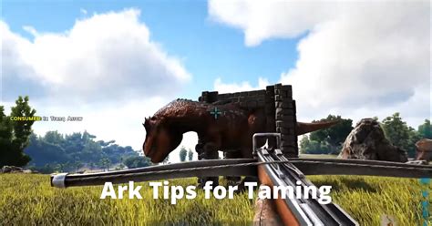 Ark Tips for Taming - Nerd Lodge