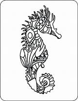 5 Seahorses Coloring Page – Seahorse Outlines To Color sketch template