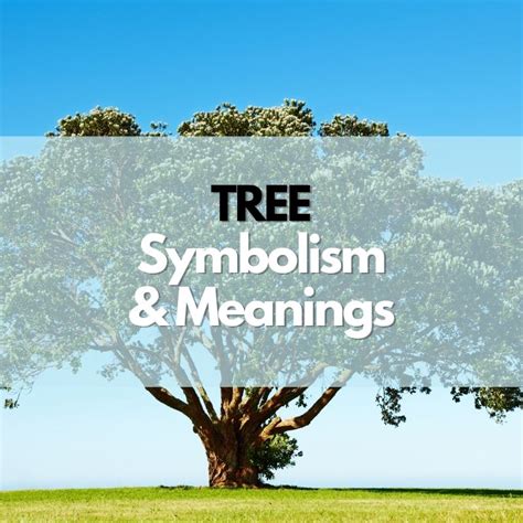 What Does a Tree Symbolize? - Symbol Genie