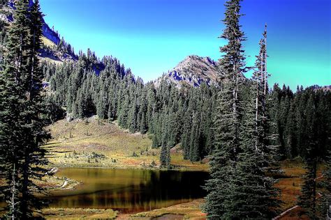 Tipsoo Lake on Chinook Pass Washington Photograph by David Patterson