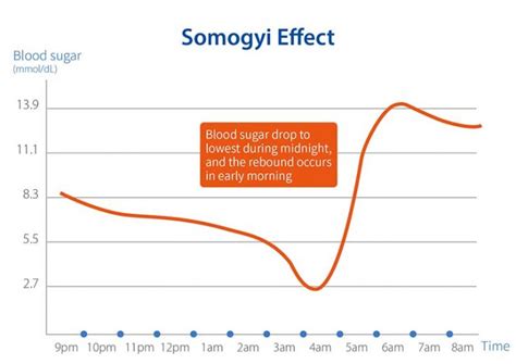 What is the Somogyi Effect (the Blood Sugar Rebound Effect)? - Diabete