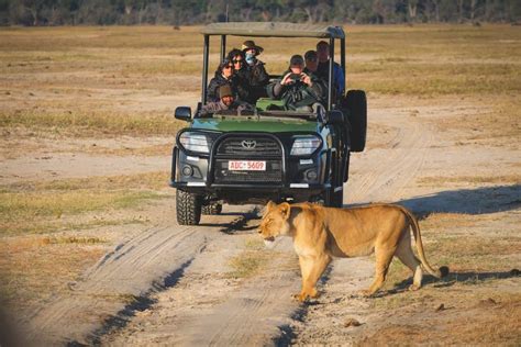 Hwange National Park Safari Guide: All You Need To Know