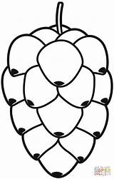 Pine Cone coloring Page  Free Printable Coloring Pages sketch template