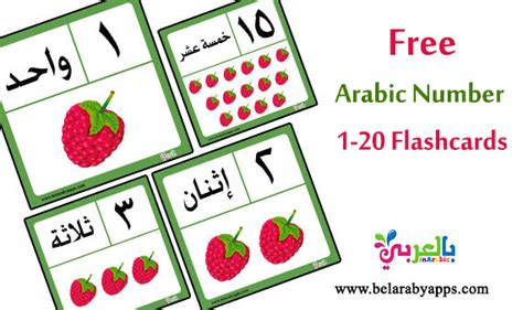 Free! Arabic Numbers 1-20 Flashcards Printable ⋆ belarabyapps