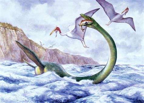 Illustration Of Elasmosaurus Photograph by Deagostini/uig/science Photo ...