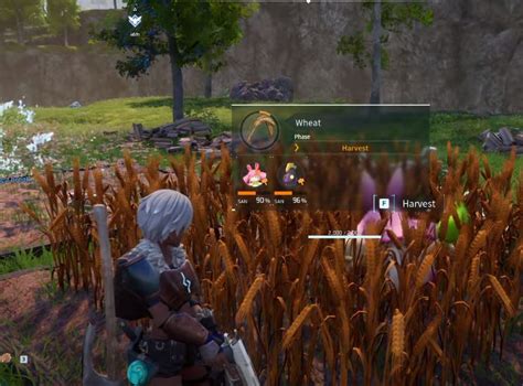 How to find Wheat Seeds in Palworld Location Guide - Fortnite Insider