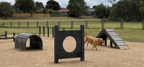 Top 10 Best Dog Parks In The World - Best School News