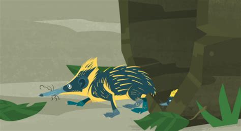 Lowland Streaked Tenrec/Hemicentetes Semispinosus in 2021 | Animal art ...