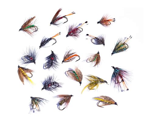 Fly Fishing Patterns For Trout [Productive Flies that Stand the Test of ...