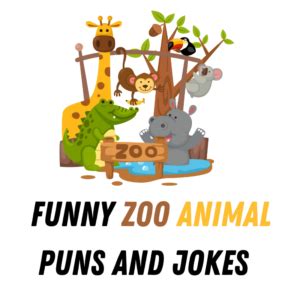 90+ Funny Zoo Animal Puns And Jokes - Funniest Puns