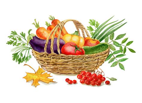 basket full of fruits and vegetables drawing - casualweddingoutfitguestmensneakers