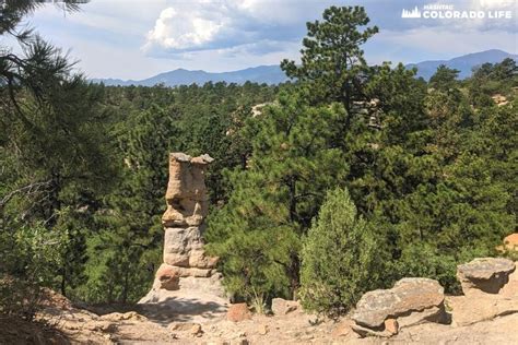 Hiking Palmer Park in Colorado Springs: 5 Insider Tips from a Native