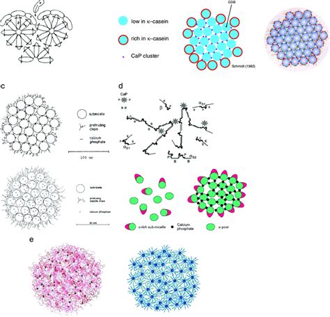 a. Model of casein micelles proposed by Waugh 1958 [44]. b.... | Download Scientific Diagram