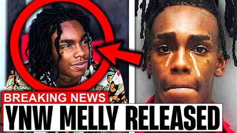 When Is Ynw Melly Getting Released 2024 - Liza Lizabeth