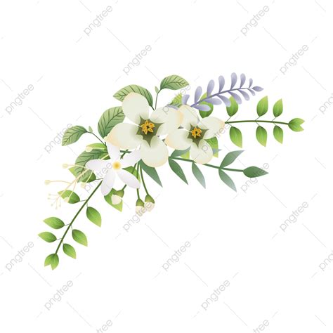 Bunga Melati PNG Transparent, Ilustrasi Bunga Melati Putih, Flower ...