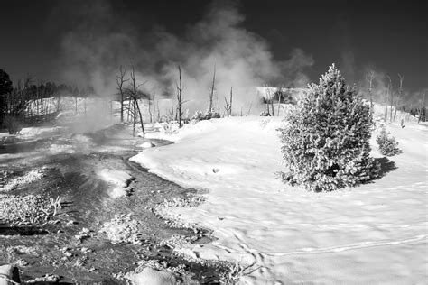 Yellowstone In Winter on Behance