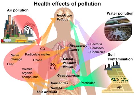 Air Pollution | Definition, Source, Effects & Prevention | Chemistry ...