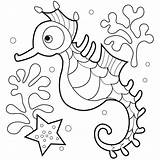 Seahorse Printable Coloring Pages sketch template