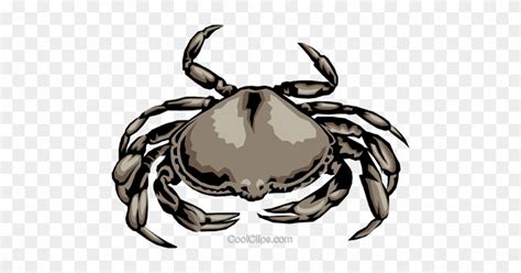 Blue Crab Vector at Vectorified.com | Collection of Blue Crab Vector ...