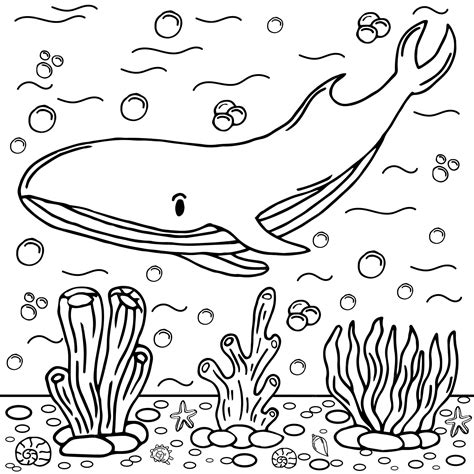 Premium Vector | Whale Coloring Page Colored Illustration