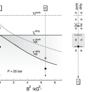 The phase diagrams of the superfluid phases of 3 He at a pressure of 25 ...