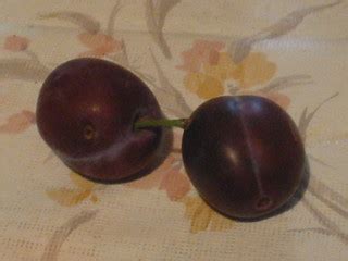 plum | Thats not exactly a plum, but a "Ringlotte". But dict… | Flickr