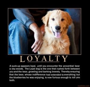 Dog Love And Loyalty Quotes. QuotesGram