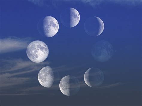 Moon Phases - NASA Science