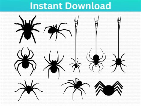 Halloween Spider SVG Spider Png Spider Clipart Halloween - Etsy