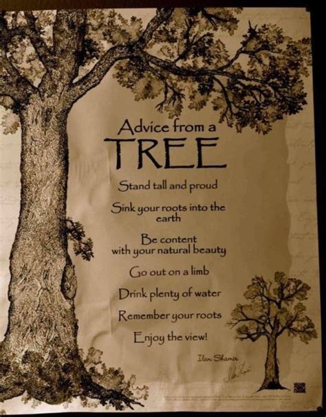 Advice from a Tree #life #quotes | Advice for Today | Pinterest | Trees, A tree and Posts