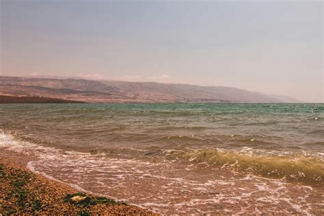 Free stock photo of beach, Dead Sea, jordan