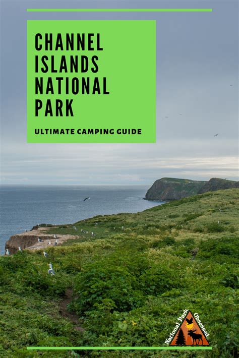 The Ultimate Guide to Camping in Channel Islands National Park ...