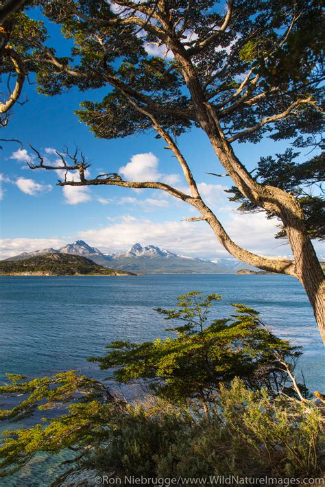 Tierra del Fuego National Park | Photos by Ron Niebrugge