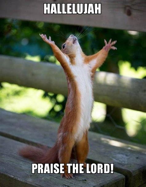 hallelujah Praise the lord! - Happy Squirrel Meme Generator