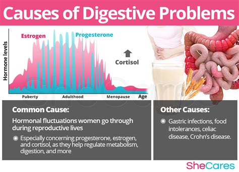 Digestive Problems | SheCares