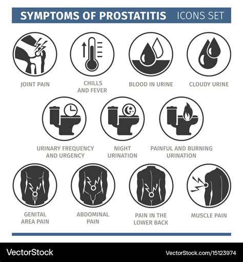 Symptoms of prostatitis infographic Royalty Free Vector