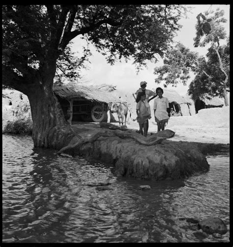 A Brief History of Chandigarh - Studio Botanica