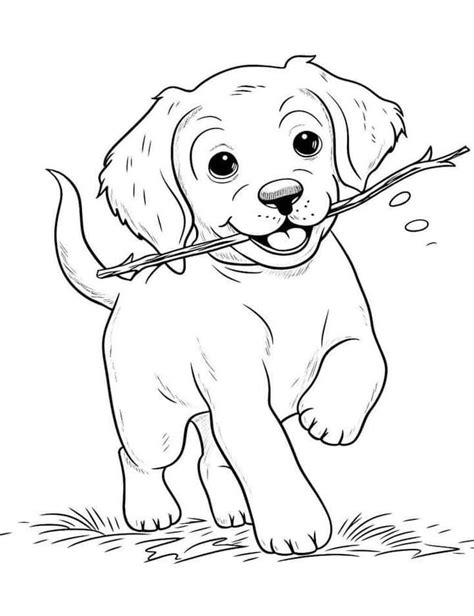 Pin by Vânia Lúcia Carvalho Ferreira on Desenhos | Dog coloring book, Puppy coloring pages, Dog ...