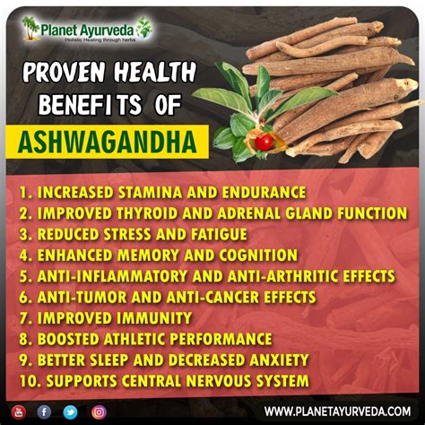 Health Benefits of Ashwagandha Powder(Withania somnifera)